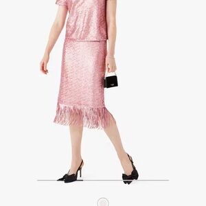 Elegant Pink Fringe Skirt